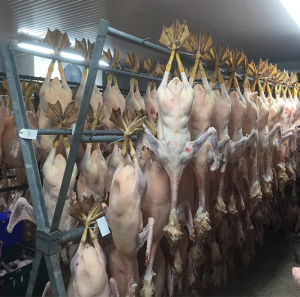 Whole turkey sales near darts farm, greendale farm shop exeter devon
