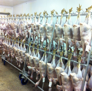 tasty bird turkey supplier exeter devon